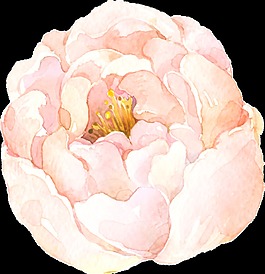 盛開水彩花卉透明素材
