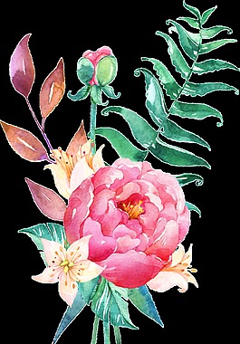 清香花卉透明素材