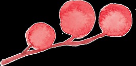 桃紅果實(shí)透明素材