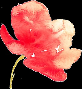 涂鴉花卉透明素材