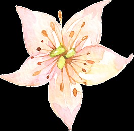 展開花蕊透明素材