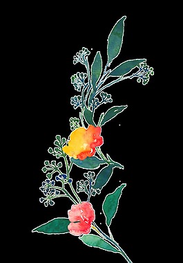 碧绿花枝透明素材