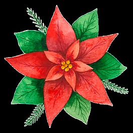 唯美花卉透明素材