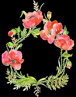 紅色生長花卉透明素材