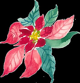 花團錦簇透明素材