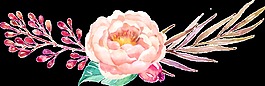 夢(mèng)幻植物透明素材
