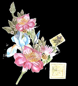 盛开花卉透明素材