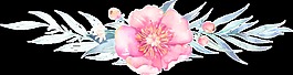 时尚花卉透明素材
