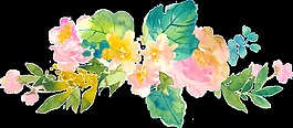 水彩花丛透明素材