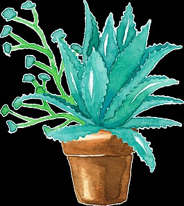 水彩生長植物透明素材