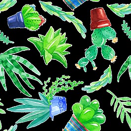 熱帶植物盆栽透明素材
