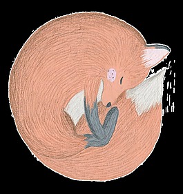 睡覺(jué)的狐貍透明素材