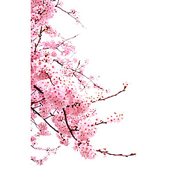 手繪水墨桃花元素