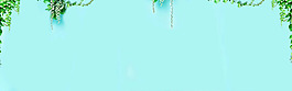 簡約綠色樹葉banner背景素材