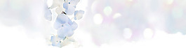 簡(jiǎn)約白色花朵banner背景素材