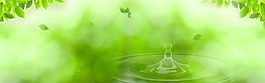 清新綠色樹葉banner背景素材