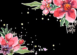 花朵卡通透明素材