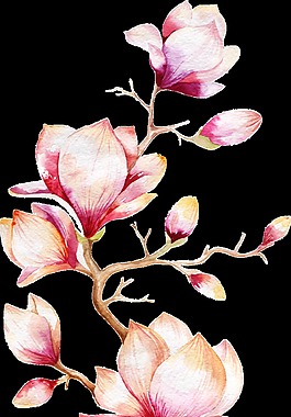 粉色桃花卡通透明素材