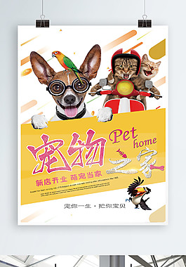 可爱的宠物促销海报