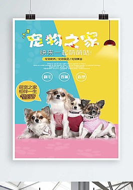 宠物之家促销海报