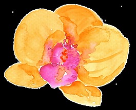 黃色粉色鮮花卡通透明素材