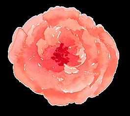 鮮花染色卡通透明素材