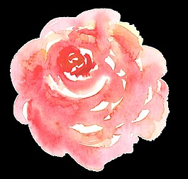 淡橘色花朵卡通透明素材