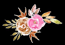 粉色鮮花棕色鮮花卡通透明素材
