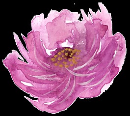 紫色鮮花卡通透明素材