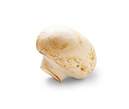 一顆新鮮的蘑菇psd源文件