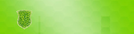 清新绿色树叶banner背景素材