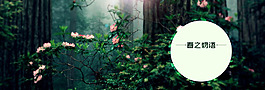 绿色森林花藤banner背景素材
