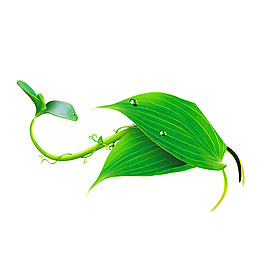 绿色发芽叶子png元素素材