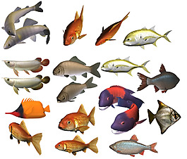 海洋魚類大集合png元素素材