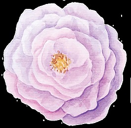 優(yōu)雅水彩繪畫花卉卡通透明素材