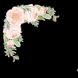 精美花卉邊框卡通透明素材
