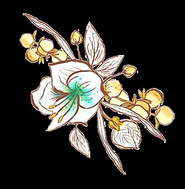 清幽花卉高雅卡通透明素材