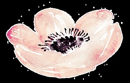 醉人花卉卡通透明素材