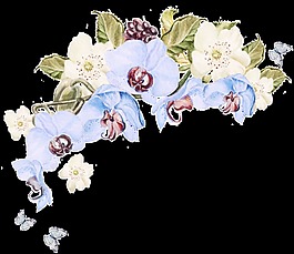 現(xiàn)實(shí)夢幻花卉透明素材