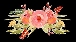 可愛花卉卡通透明素材
