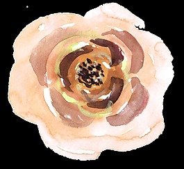 藝術(shù)花卉卡通透明素材
