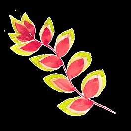 可愛花卉卡通透明素材