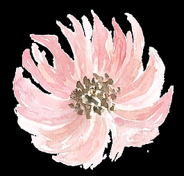 水墨花卉卡通透明素材