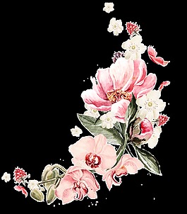 時(shí)尚粉色花卉卡通透明素材