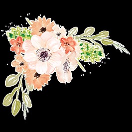 繽紛花卉卡通透明素材