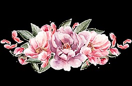 甜美花卉卡通透明素材