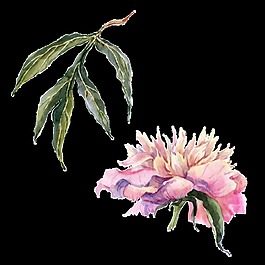 淡雅紫色花卉卡通透明素材