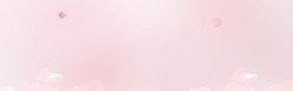 簡約粉底banner背景素材