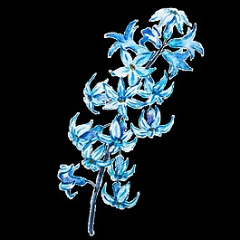 優(yōu)雅花卉卡通透明素材