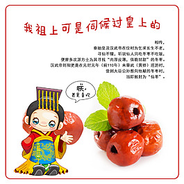古貢冬棗食品素材